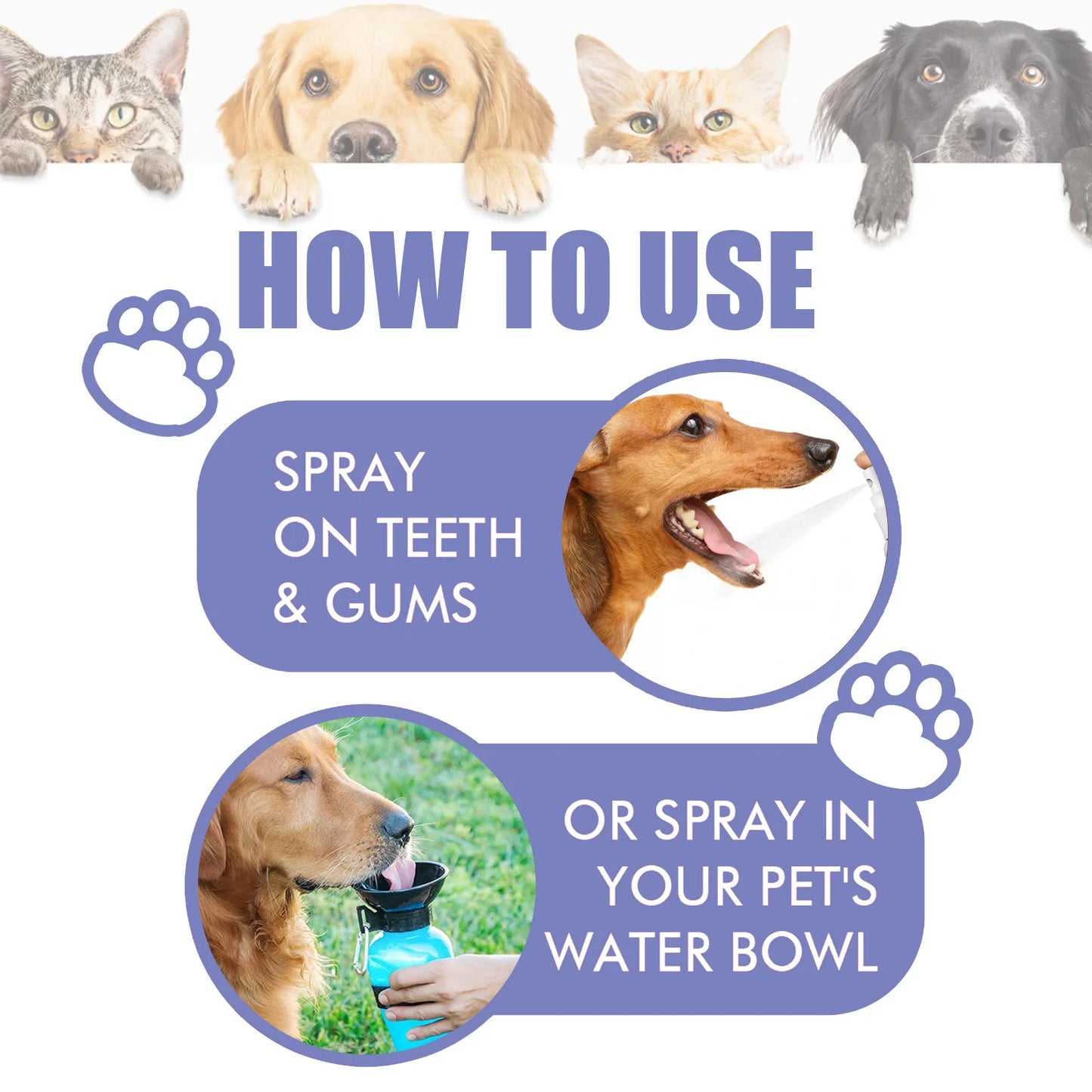 Cats & Dogs Oral Care Spray Teeth Cleaning, Whitening, Freshens Breath, Remove Stains