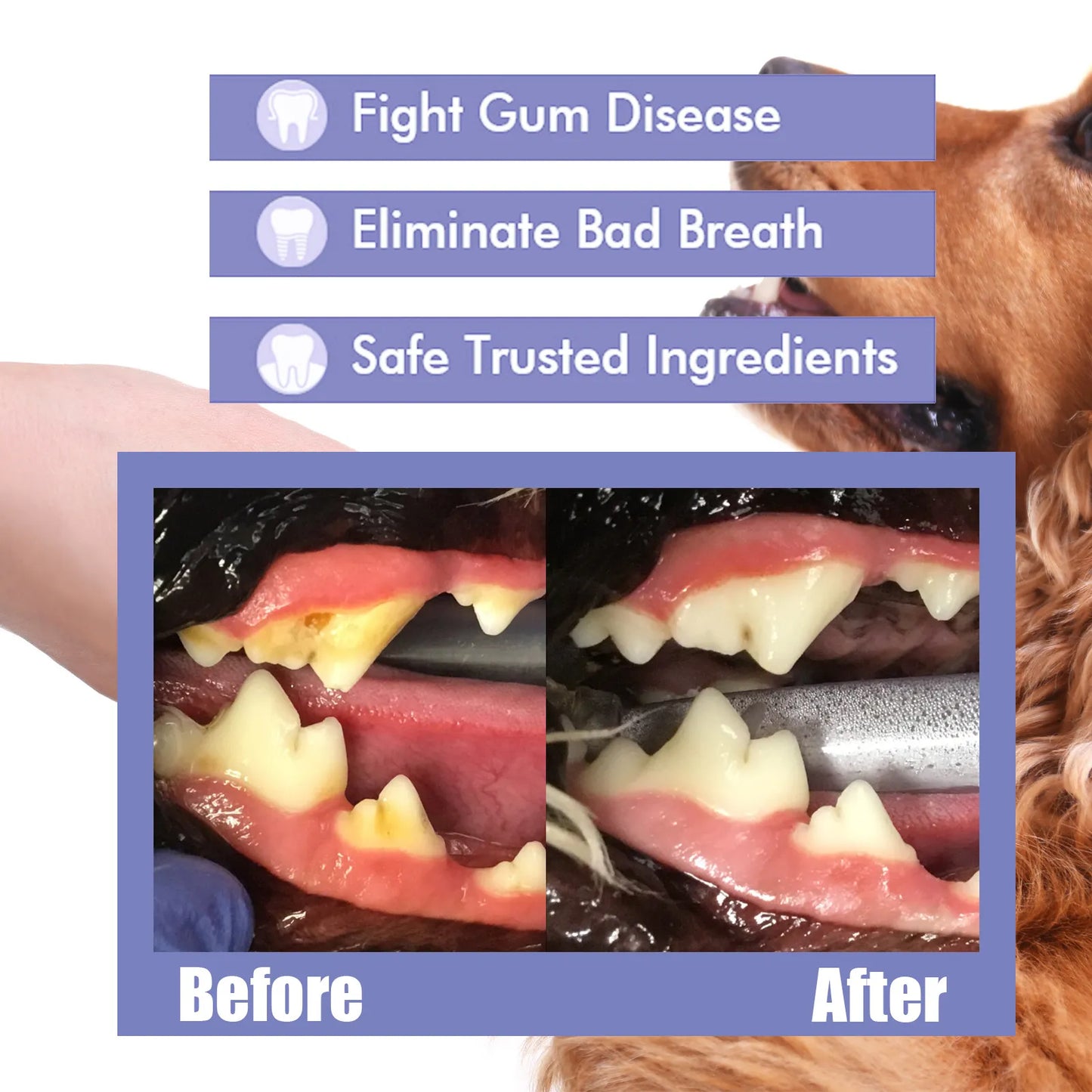 Cats & Dogs Oral Care Spray Teeth Cleaning, Whitening, Freshens Breath, Remove Stains